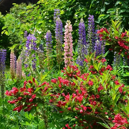 Altitude 1057 * Chamonix