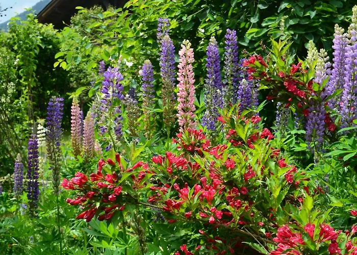 Altitude 1057 * Шамони