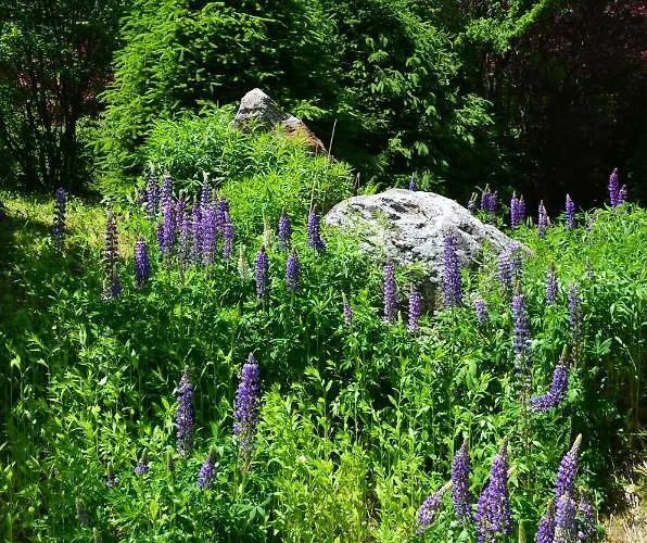 Шале Altitude 1057 Шамони