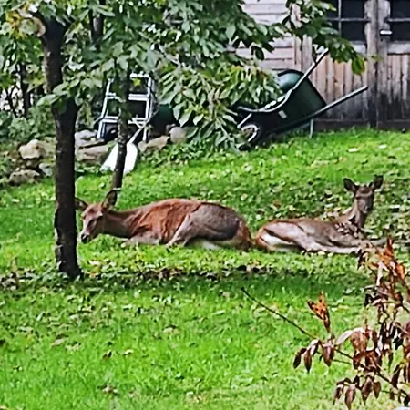 Altitude 1057 Chalet