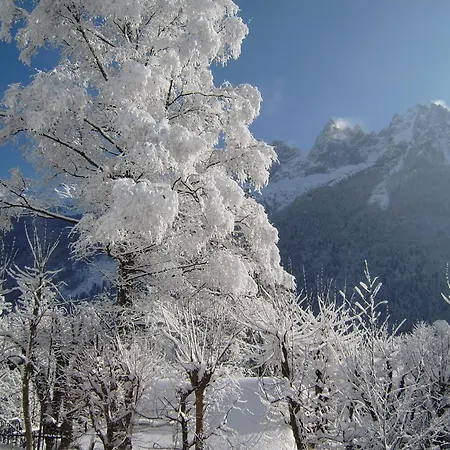 Altitude 1057 Domek alpejski Chamonix