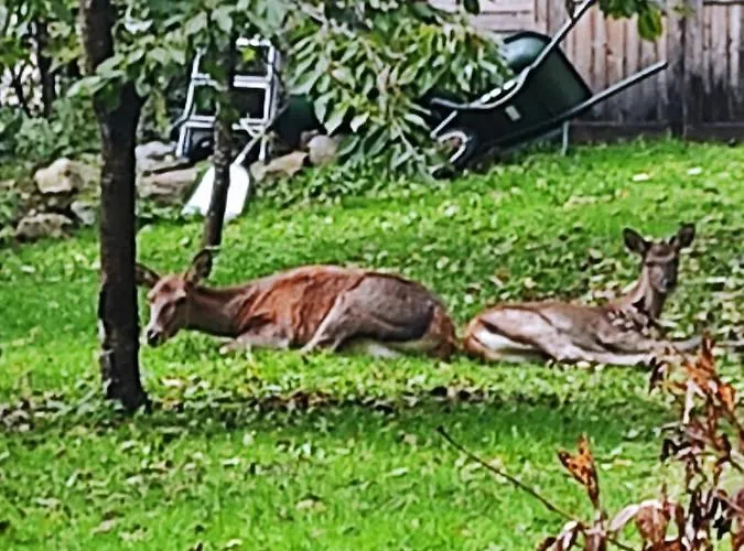 Altitude 1057 Dağ evi