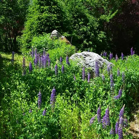 Alpesi faház Altitude 1057 Chamonix