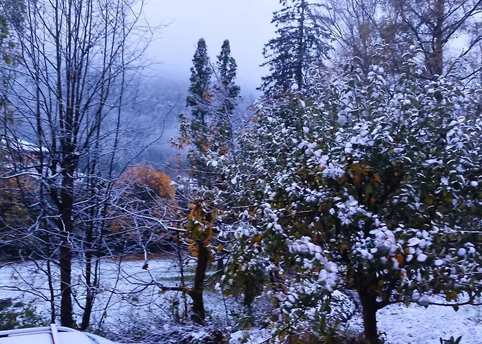 Altitude 1057 * Chamonix